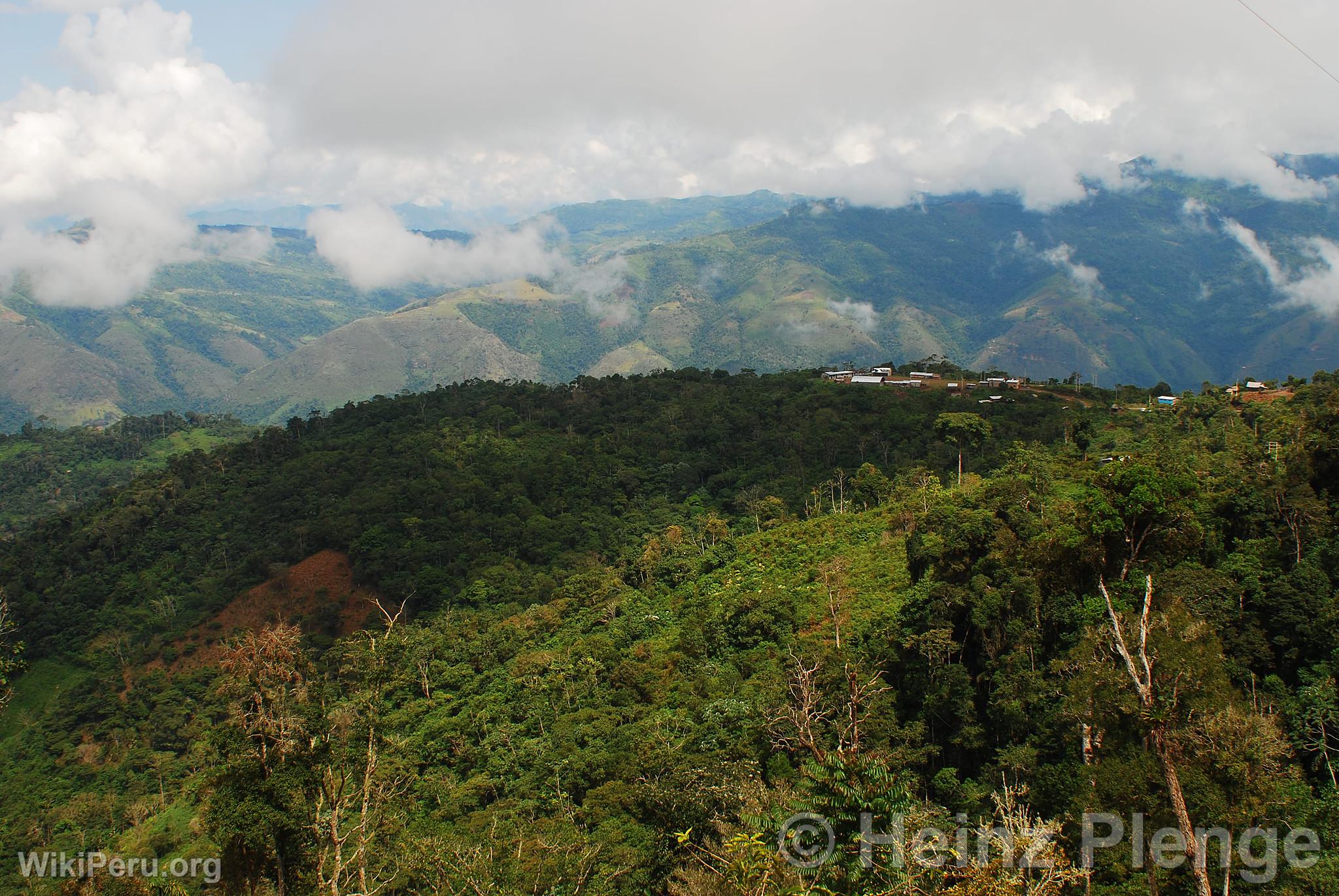 Miguel Grau Populated Center