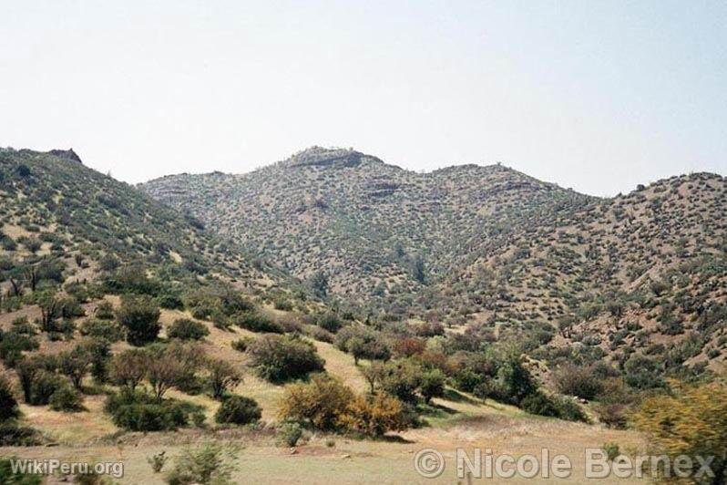 La Leche Valley, Dry Forest