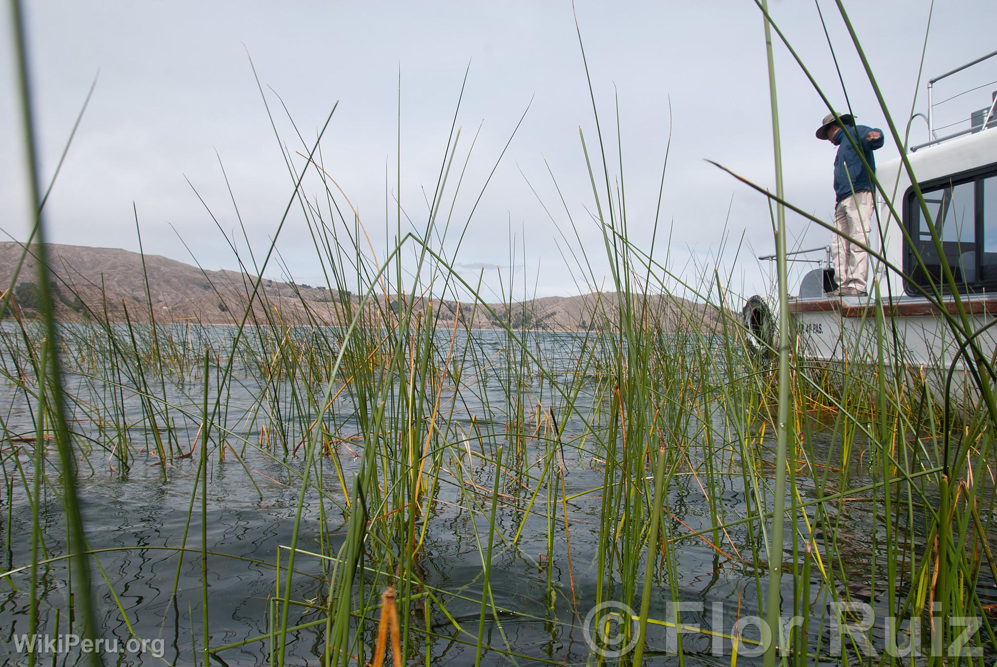 Titicaca Lake