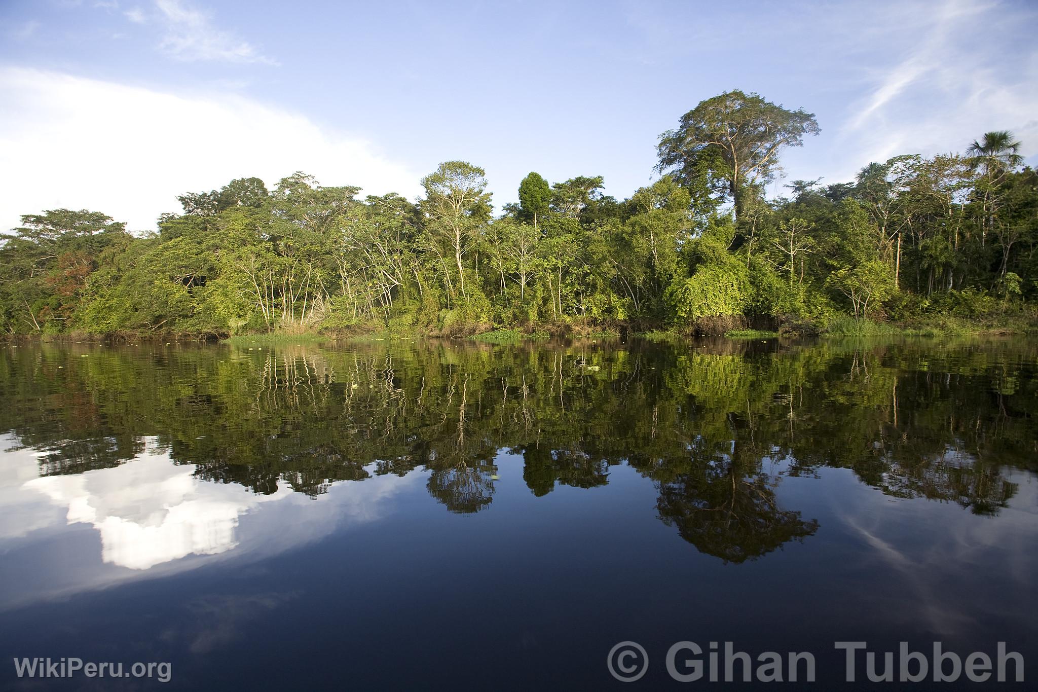 Yanayacu River