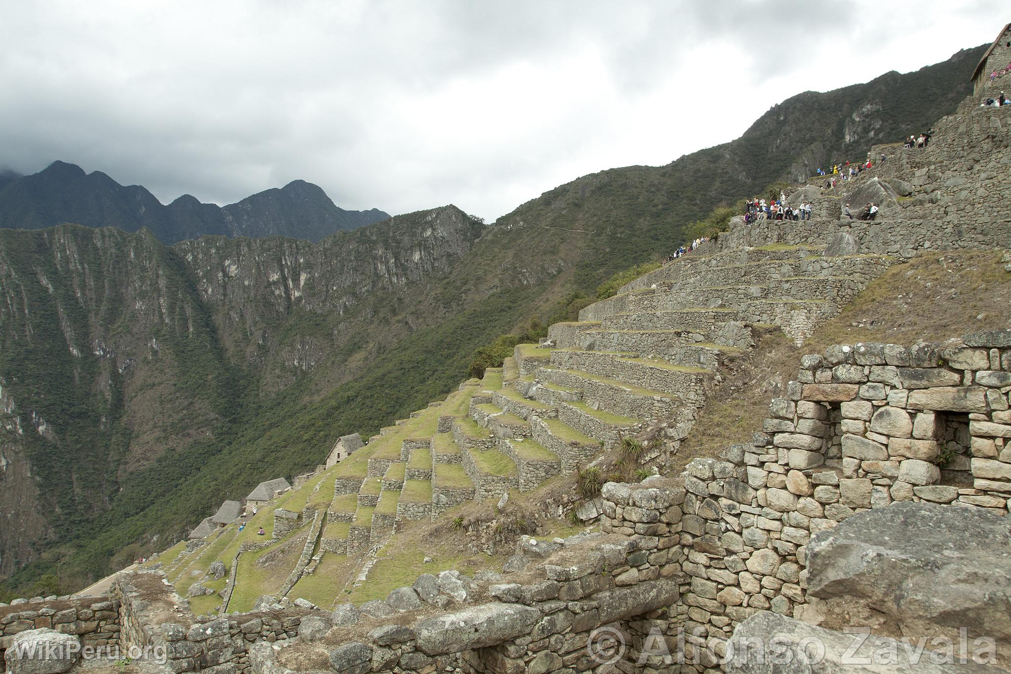 Citadel of Machu Picchu