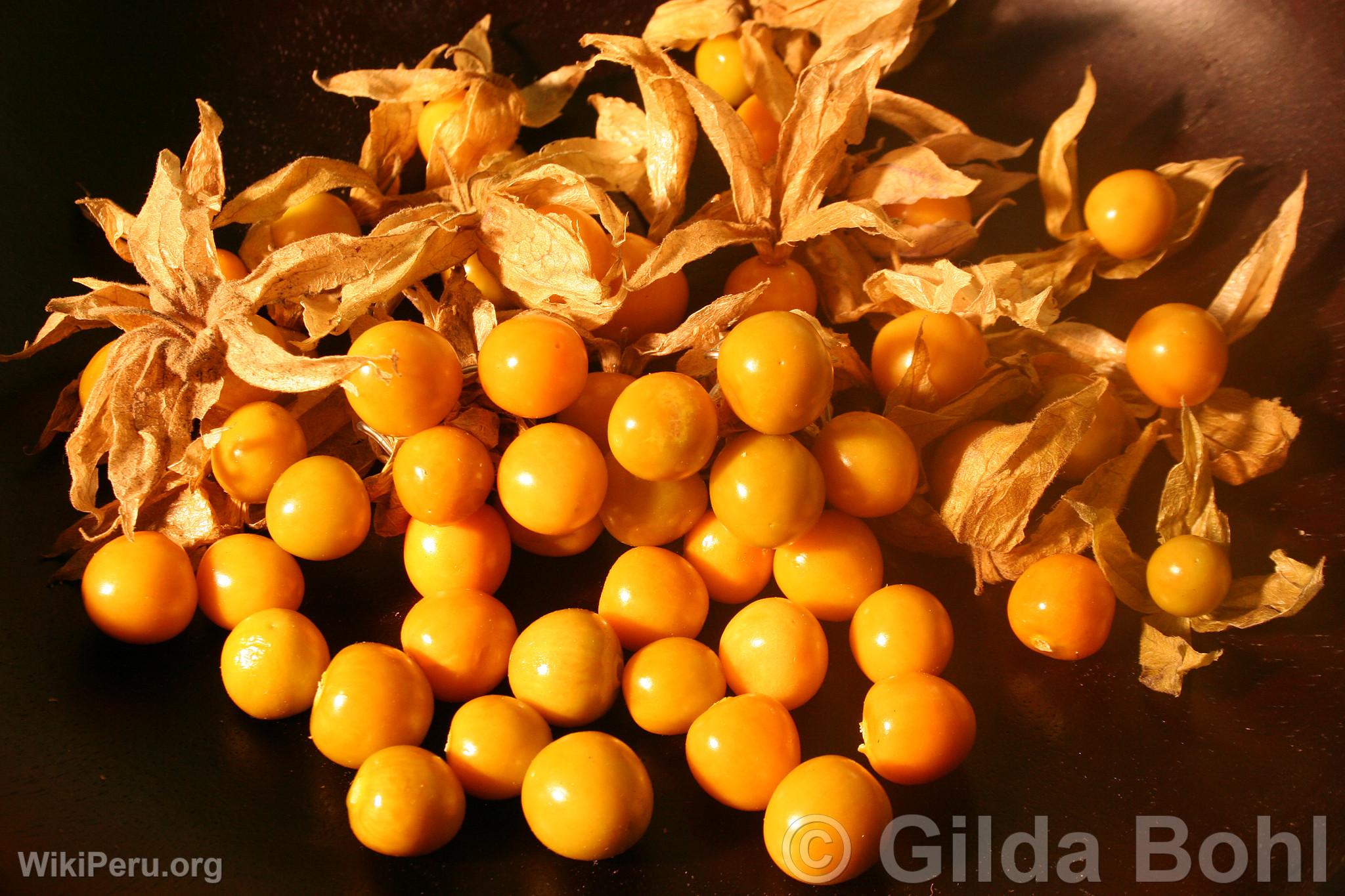 Goldenberry