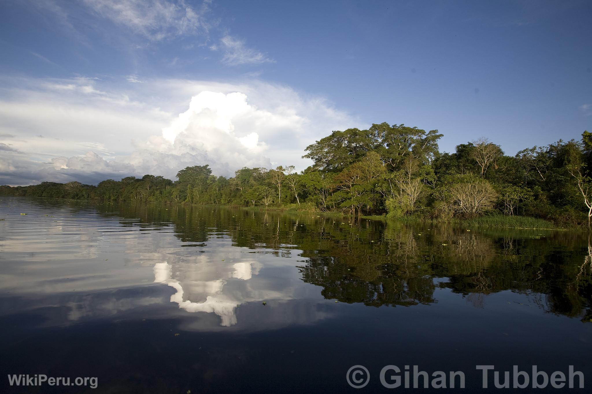 Yanayacu River