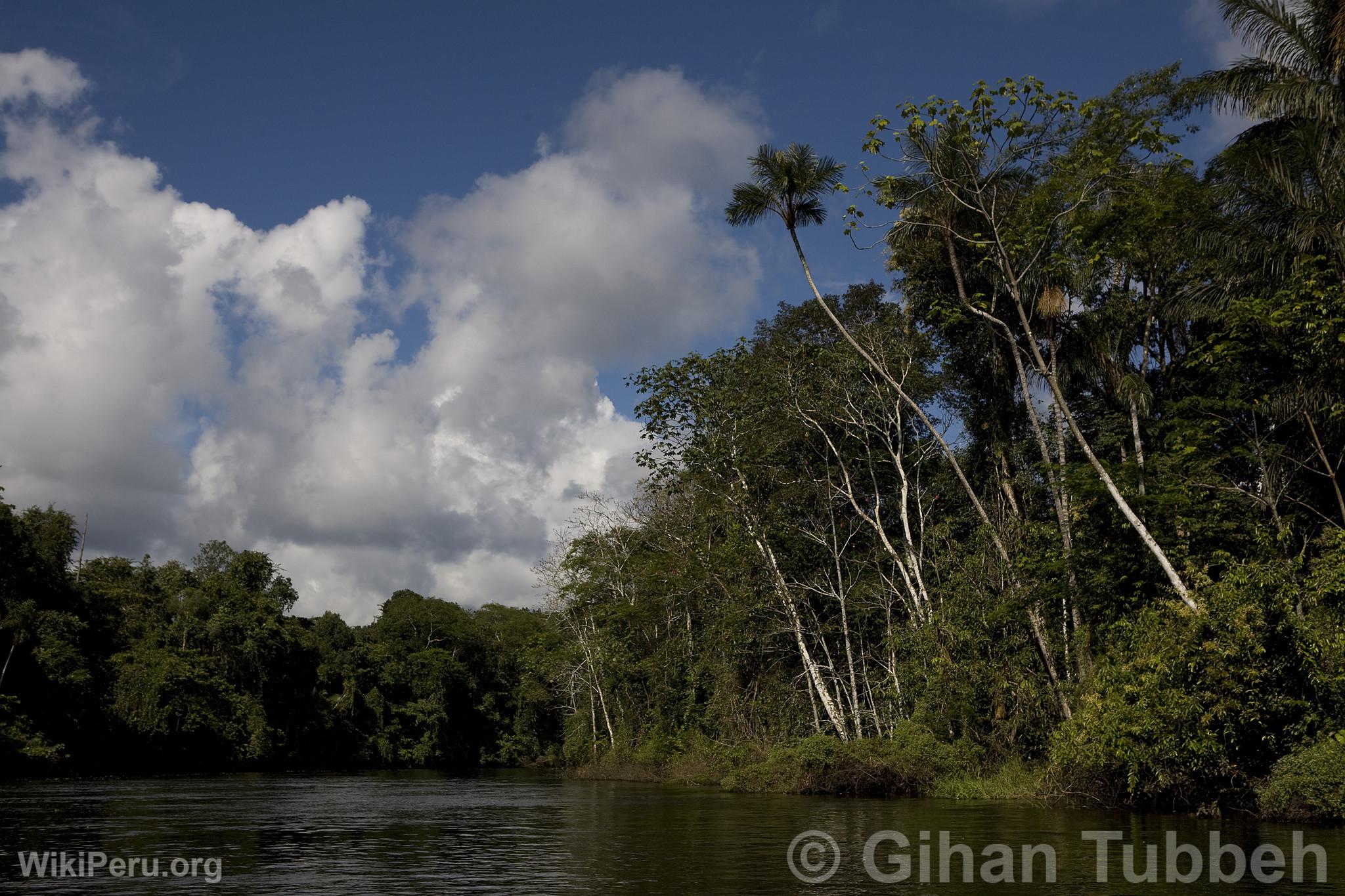 Yanayacu River