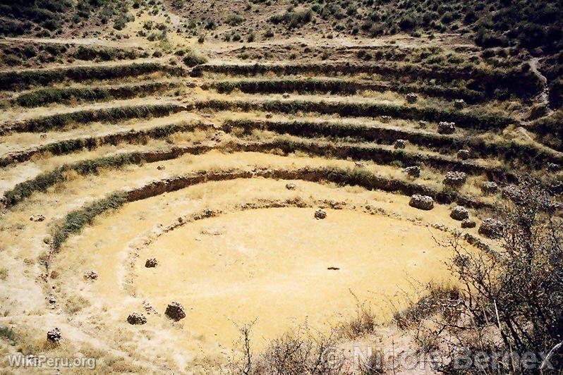 Moray