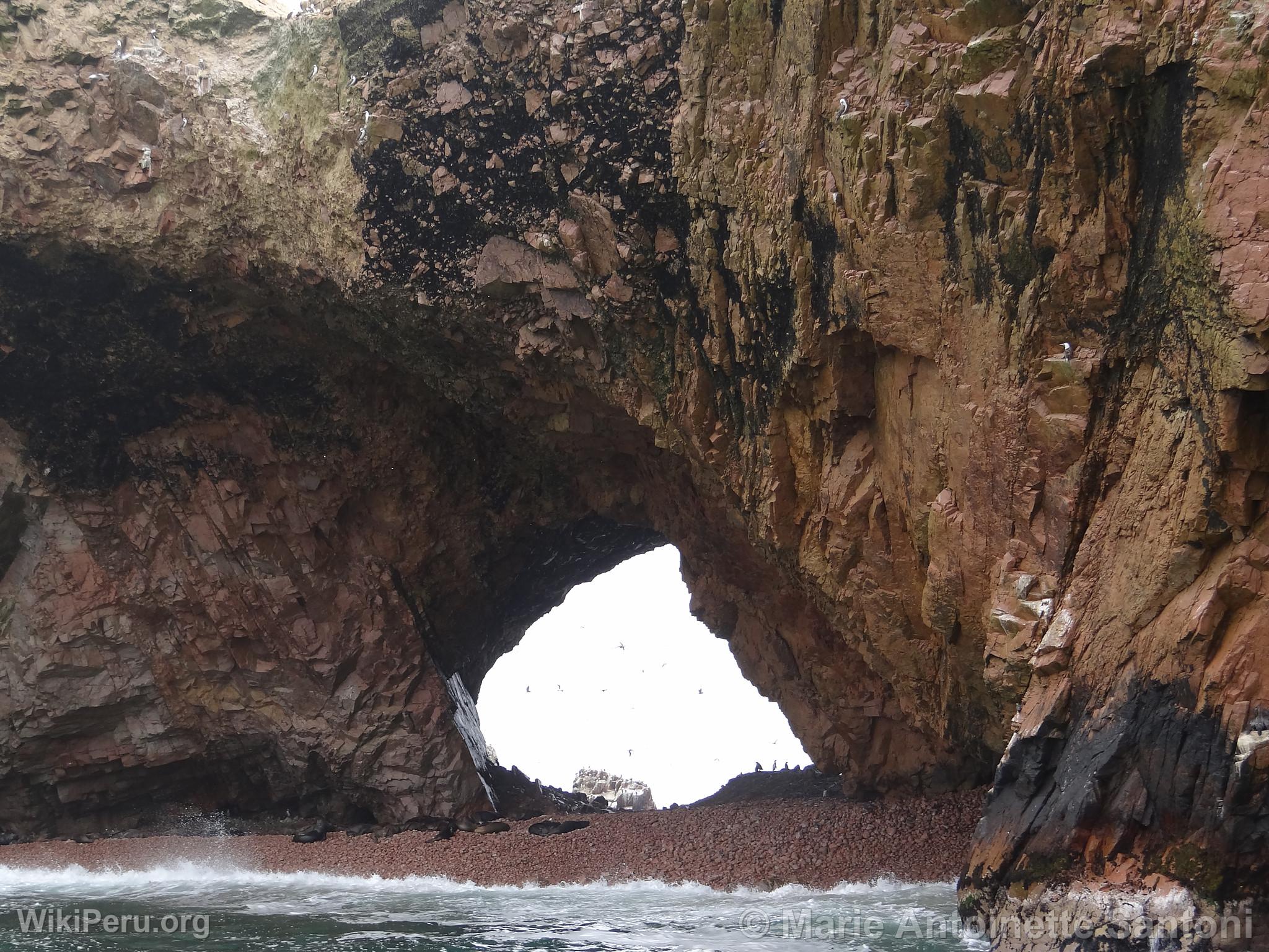 Ballestas Islands, Paracas