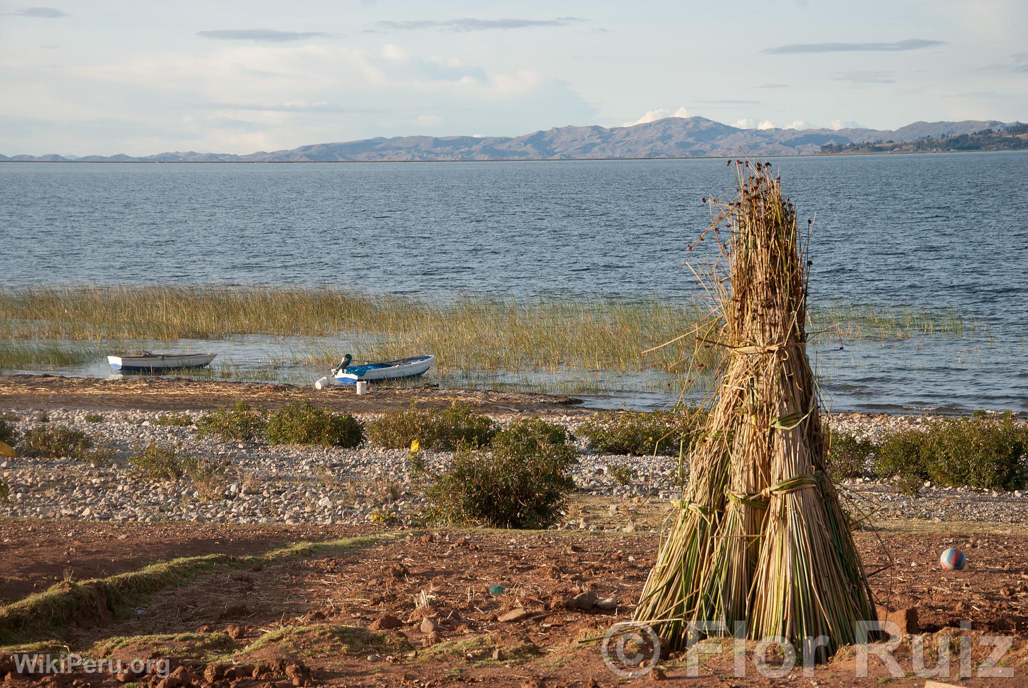 Luquina Chico and Lake Titicaca Community