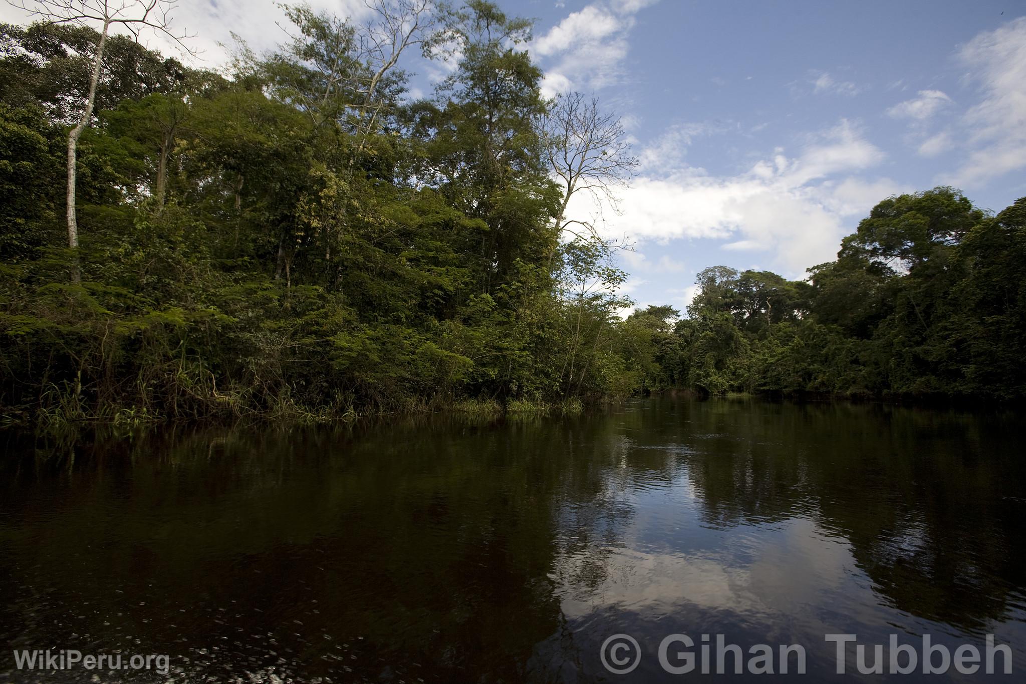 Yanayacu River