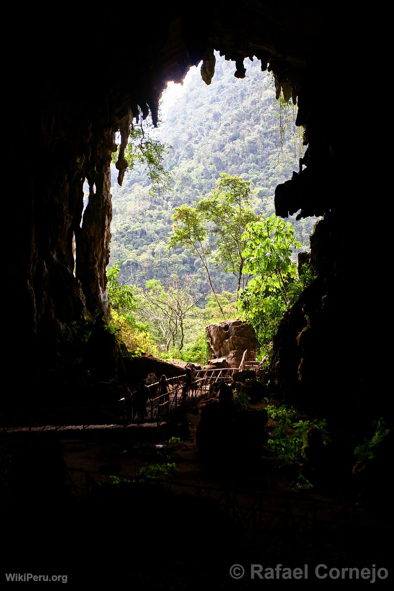 Cave of the Owls, Tingo Mara