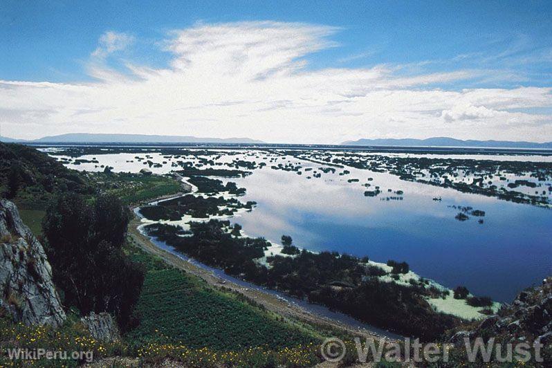 Lake Titicaca National Reserve