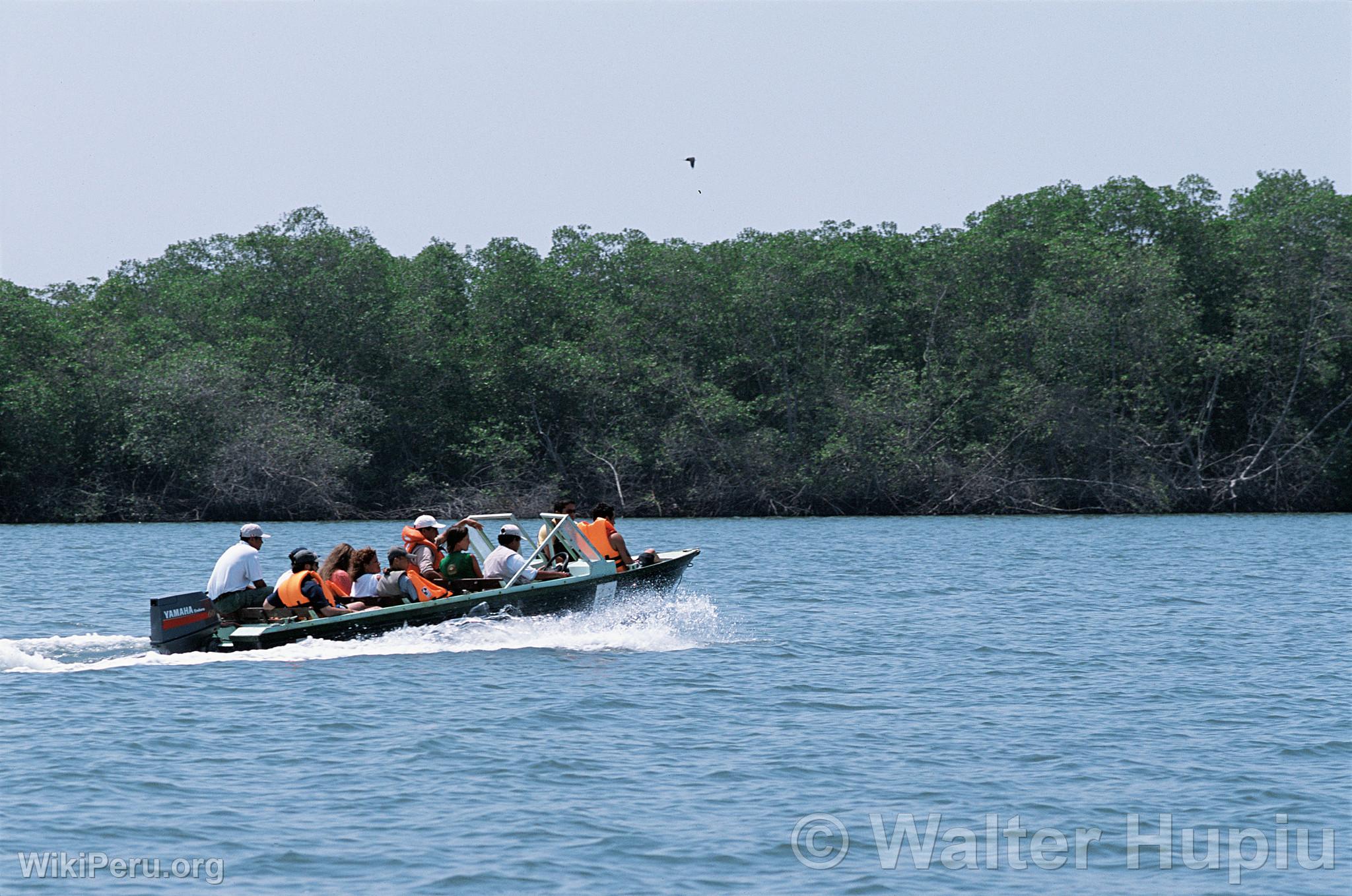 Tourists in the Tumbes Mangroves