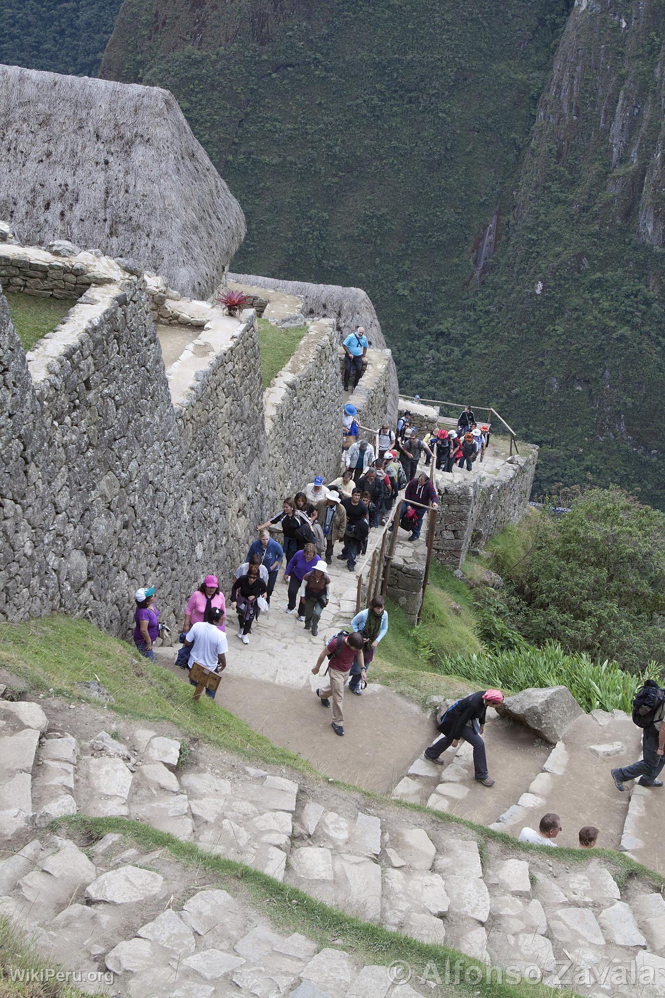 Citadel of Machu Picchu