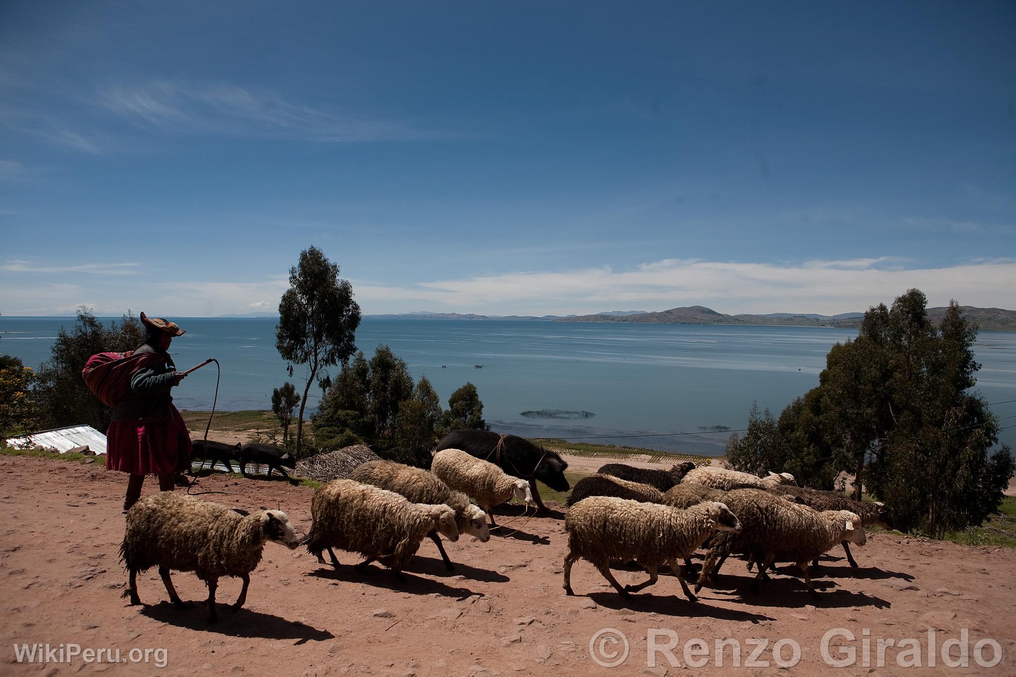 Taquile Island