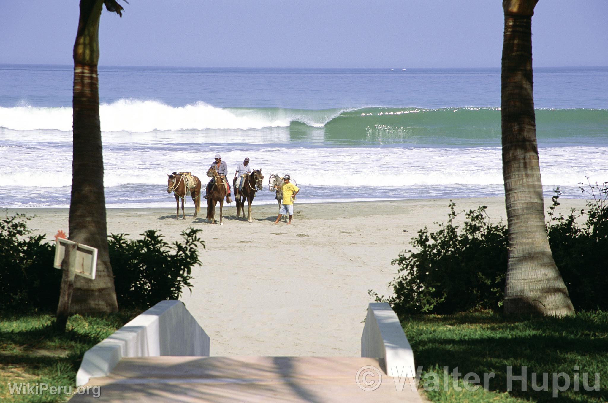 Horse Riding, Mncora