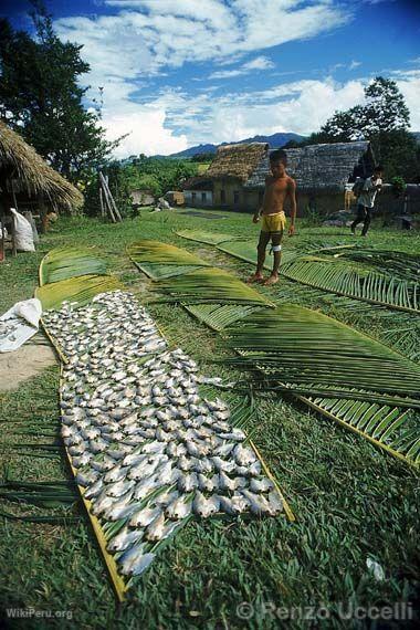 Fishing activity