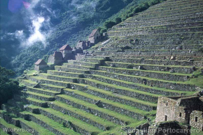 Terraces at Machu Picchu