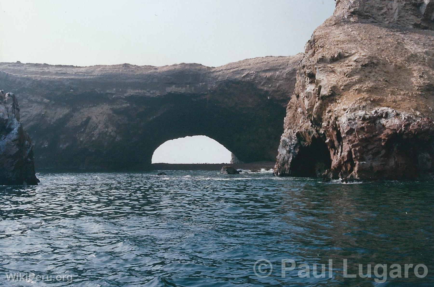 Ballestas Islands, Paracas