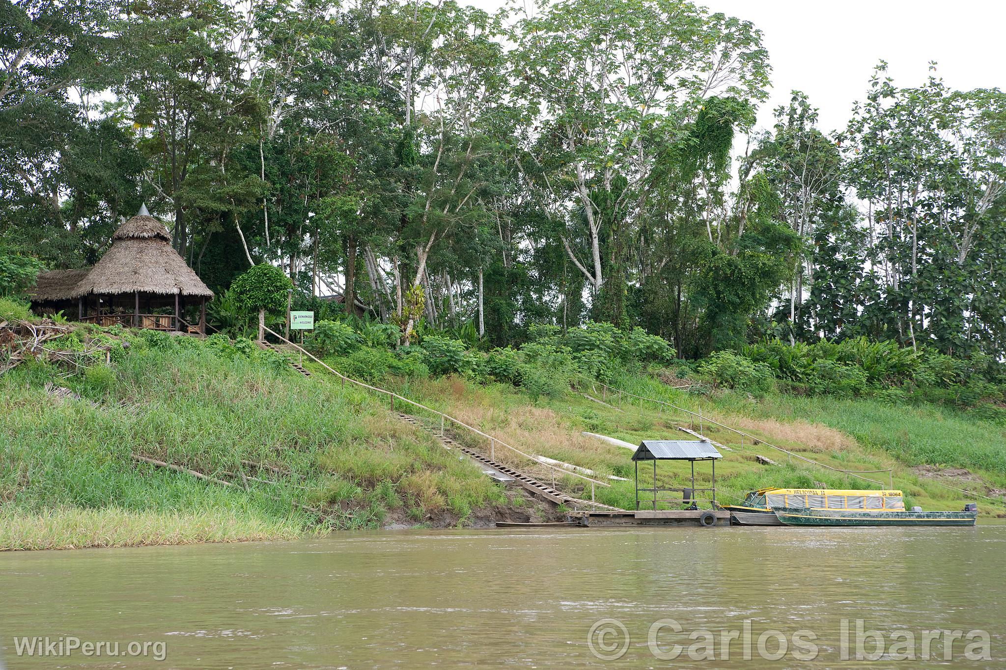 Amazon Riverbank