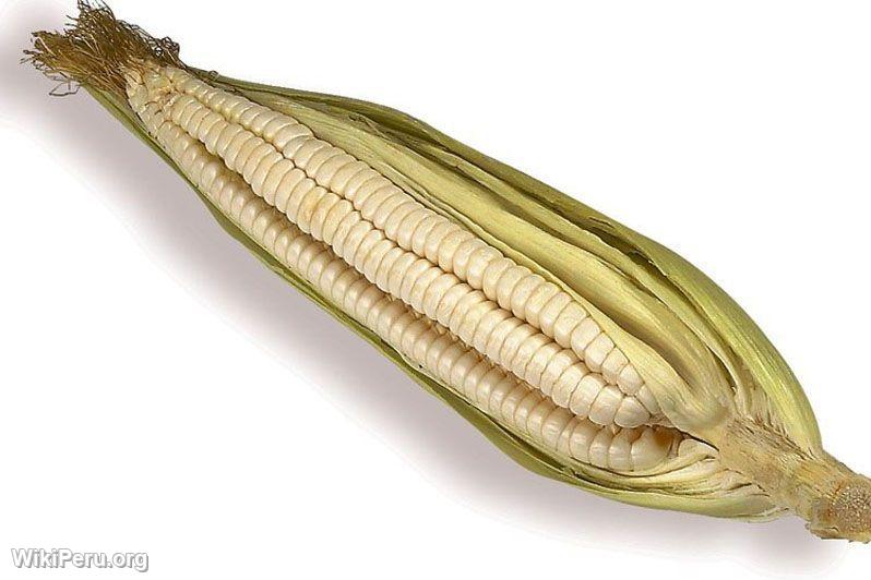 Corn