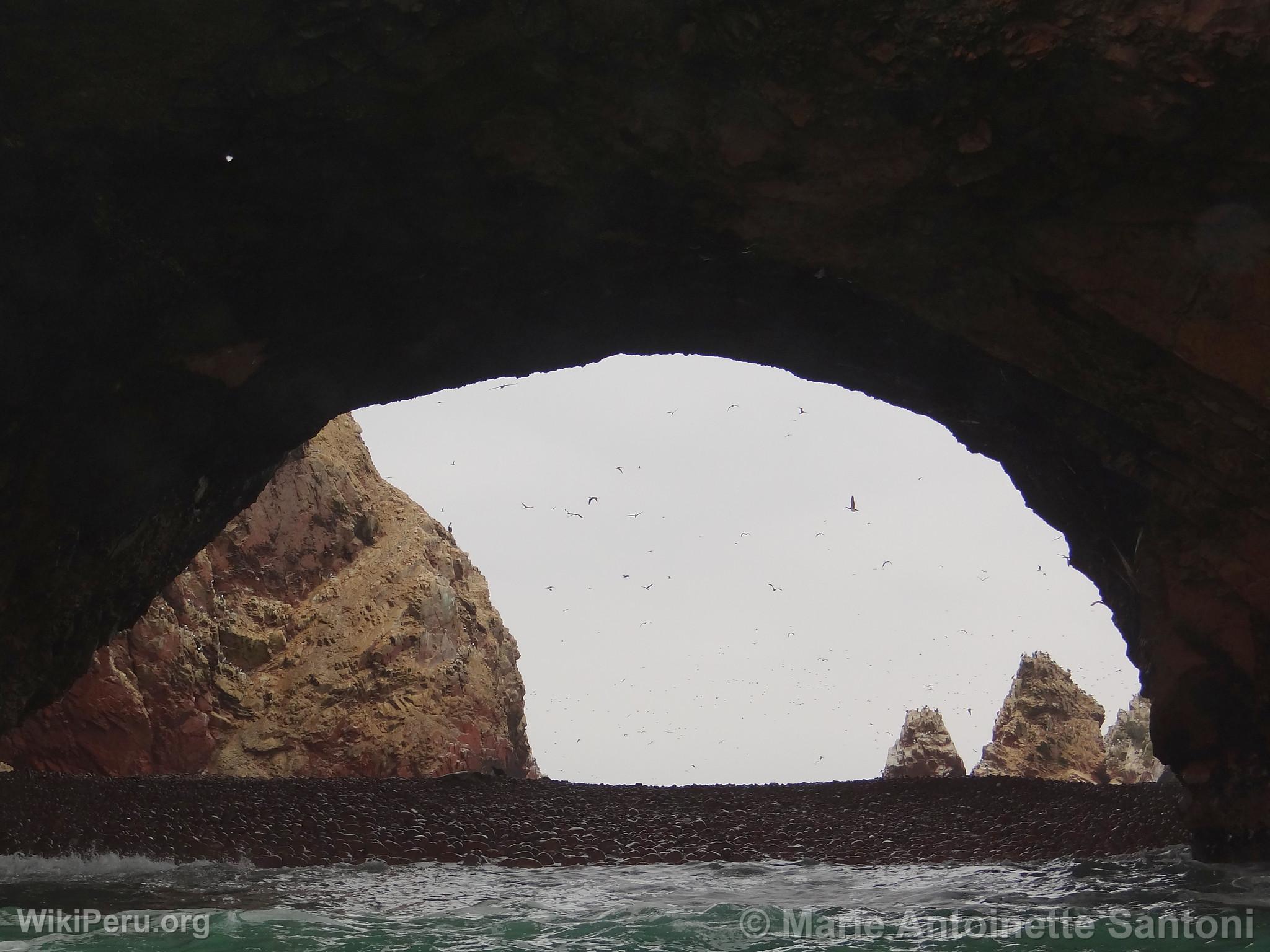 Ballestas Islands, Paracas