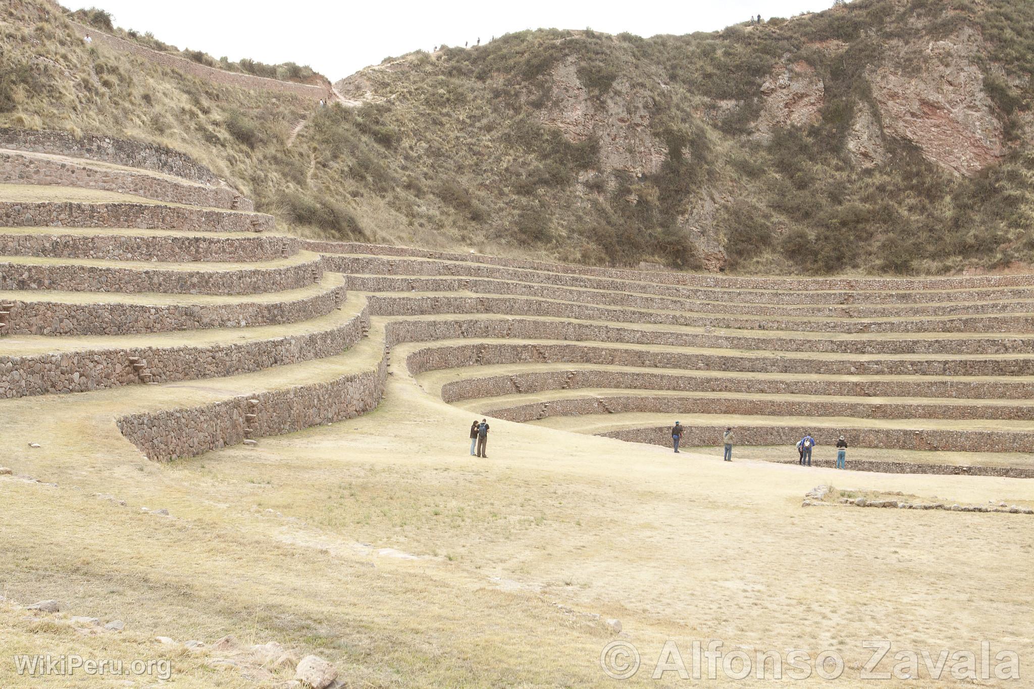 Moray Terraces