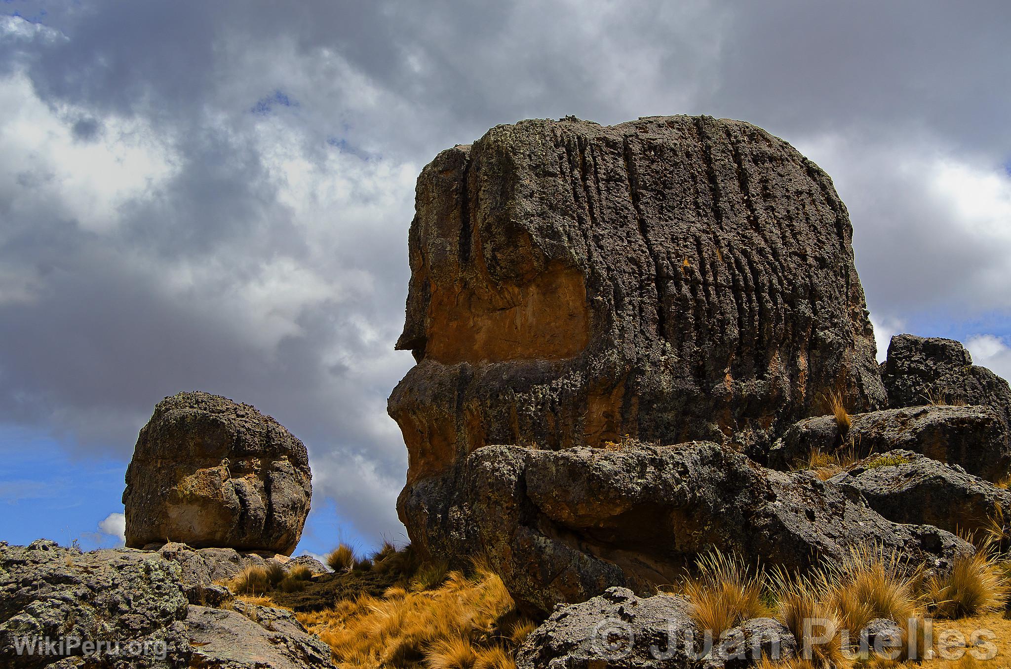 Sachapite Rock Forest