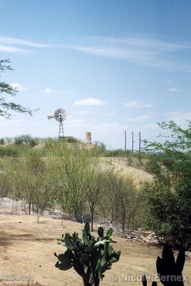 Sojo Hacienda, Chira River Valley