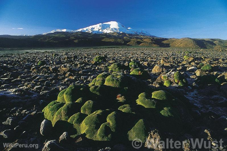 Valley of Volcanoes, Arequipa