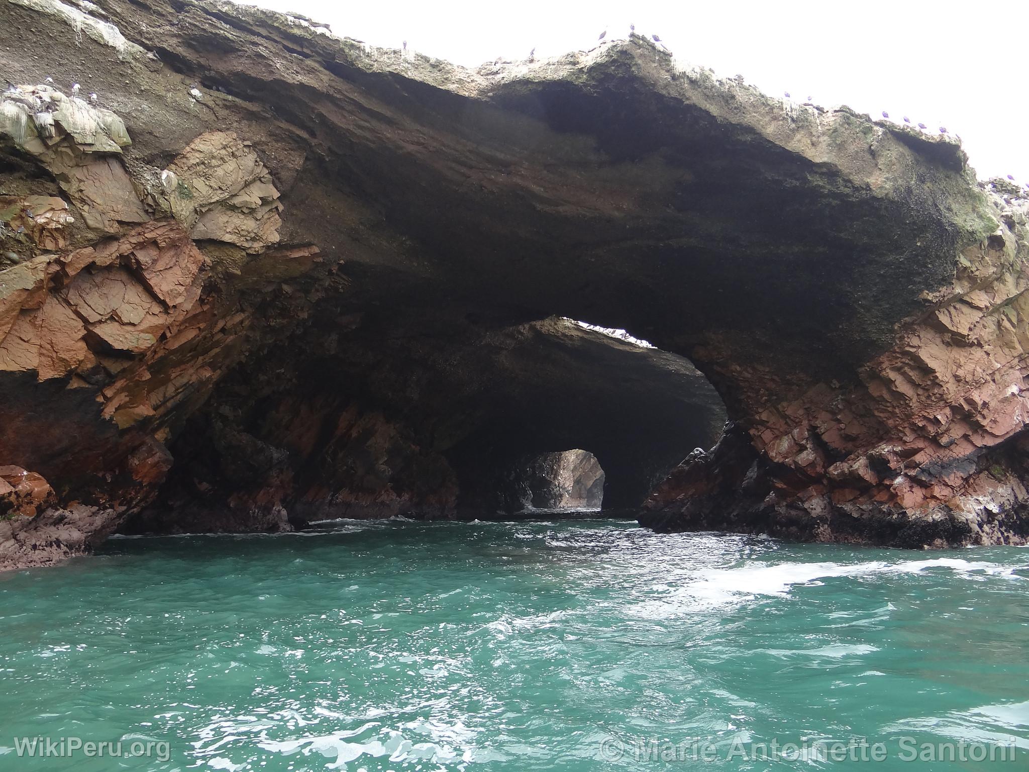 Ballestas Islands, Paracas