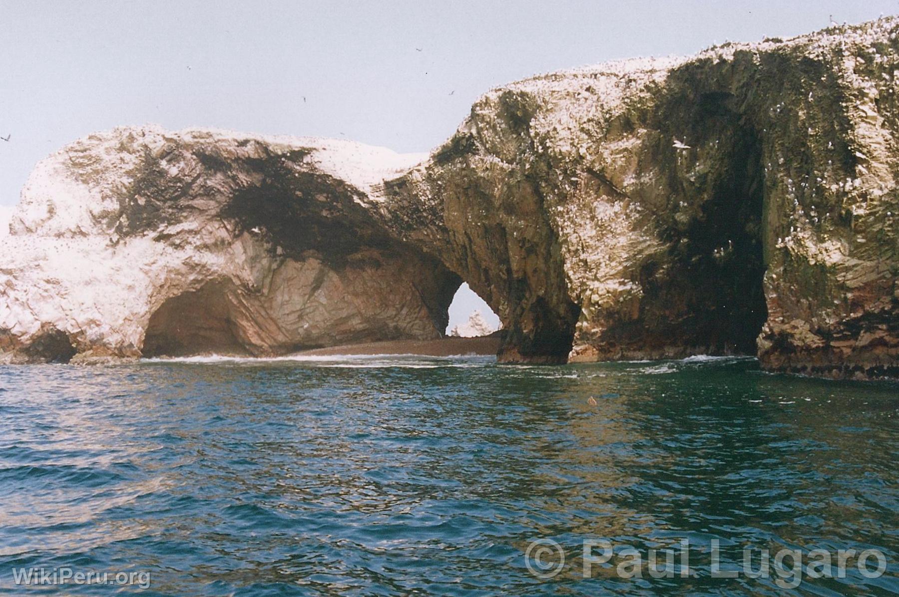 Ballestas Islands, Paracas