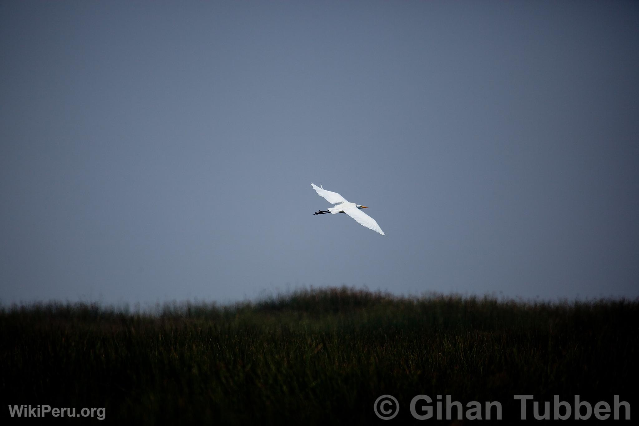 Ventanilla Wetlands