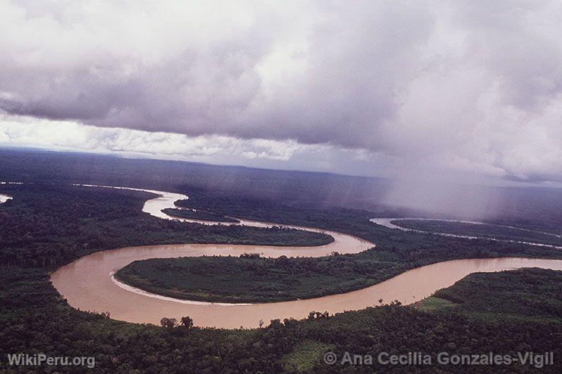 Aerial View of the Amazon River