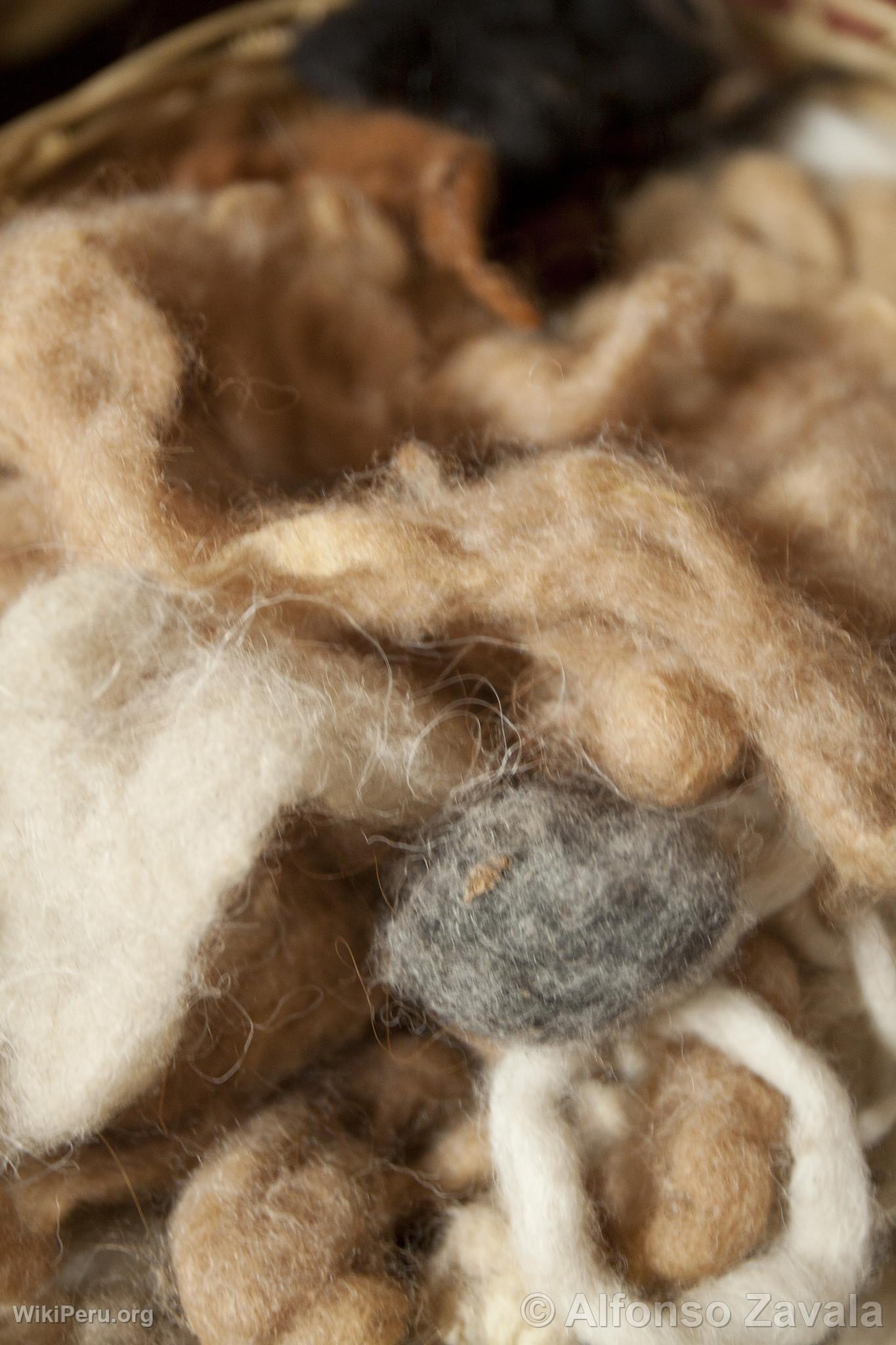 Alpaca Wool