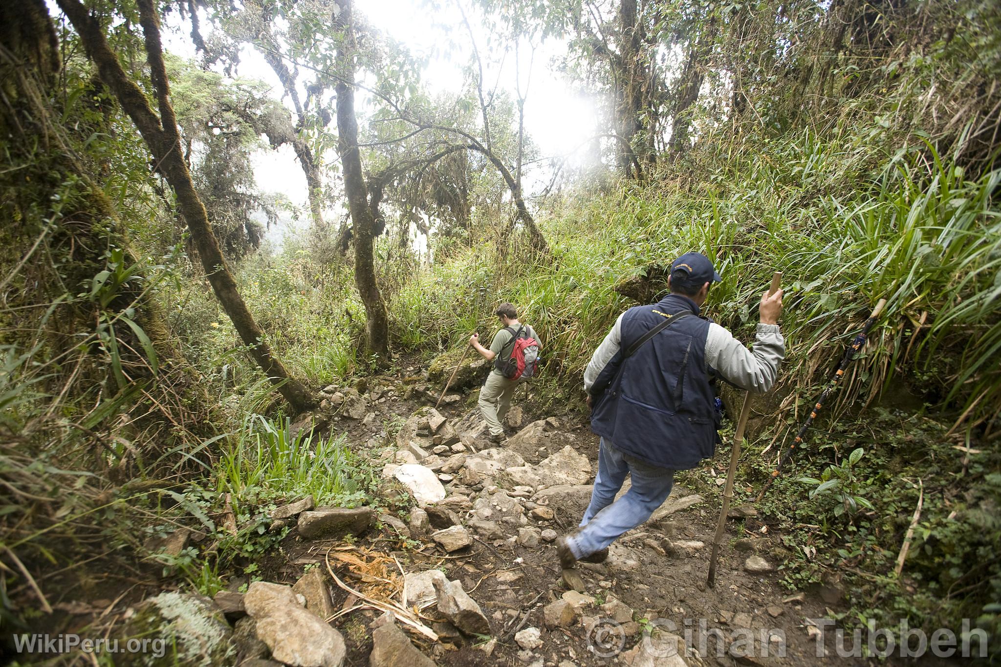 Trekking to Choquequirao