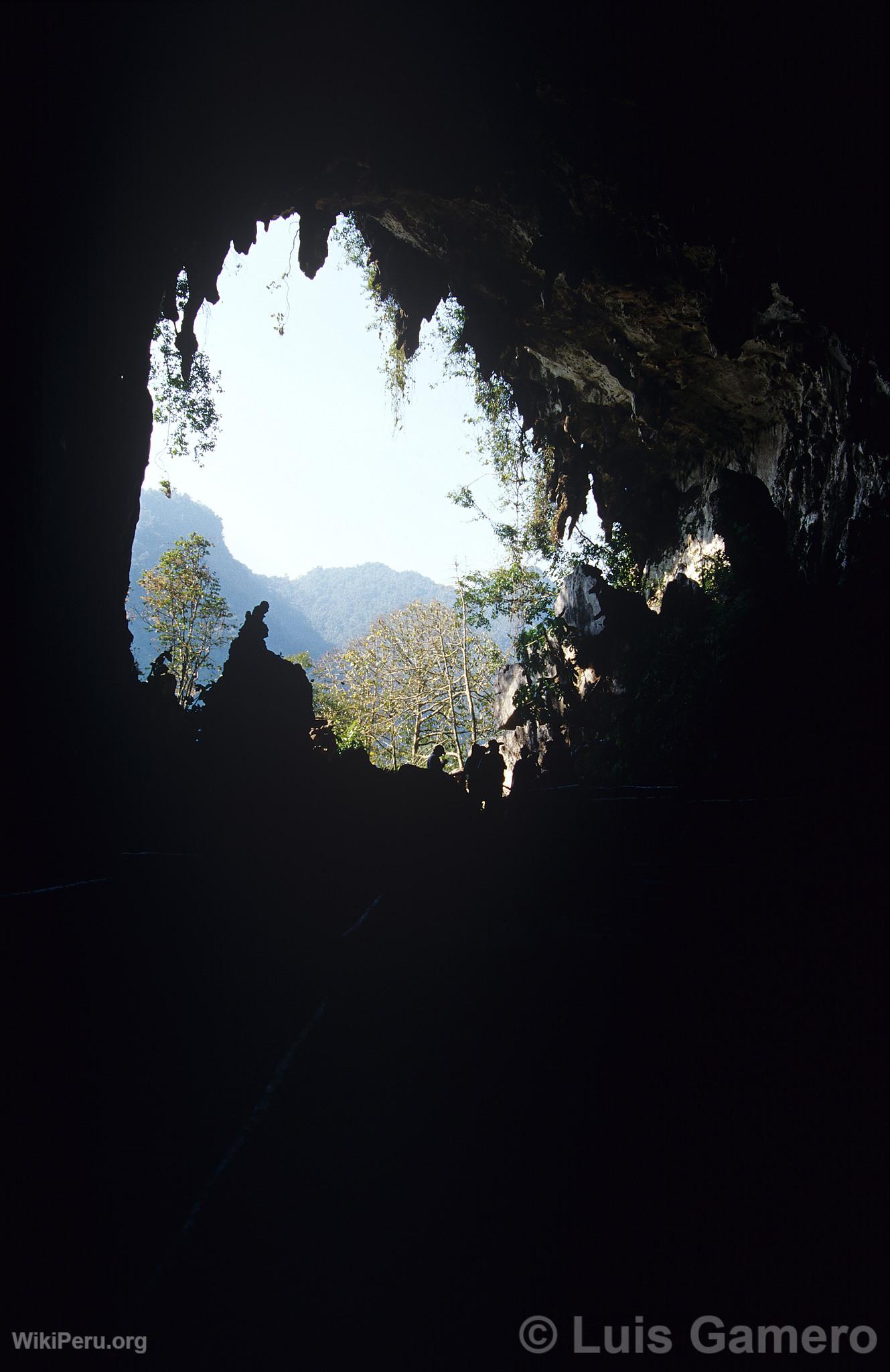 Cave of the Owls, Tingo María