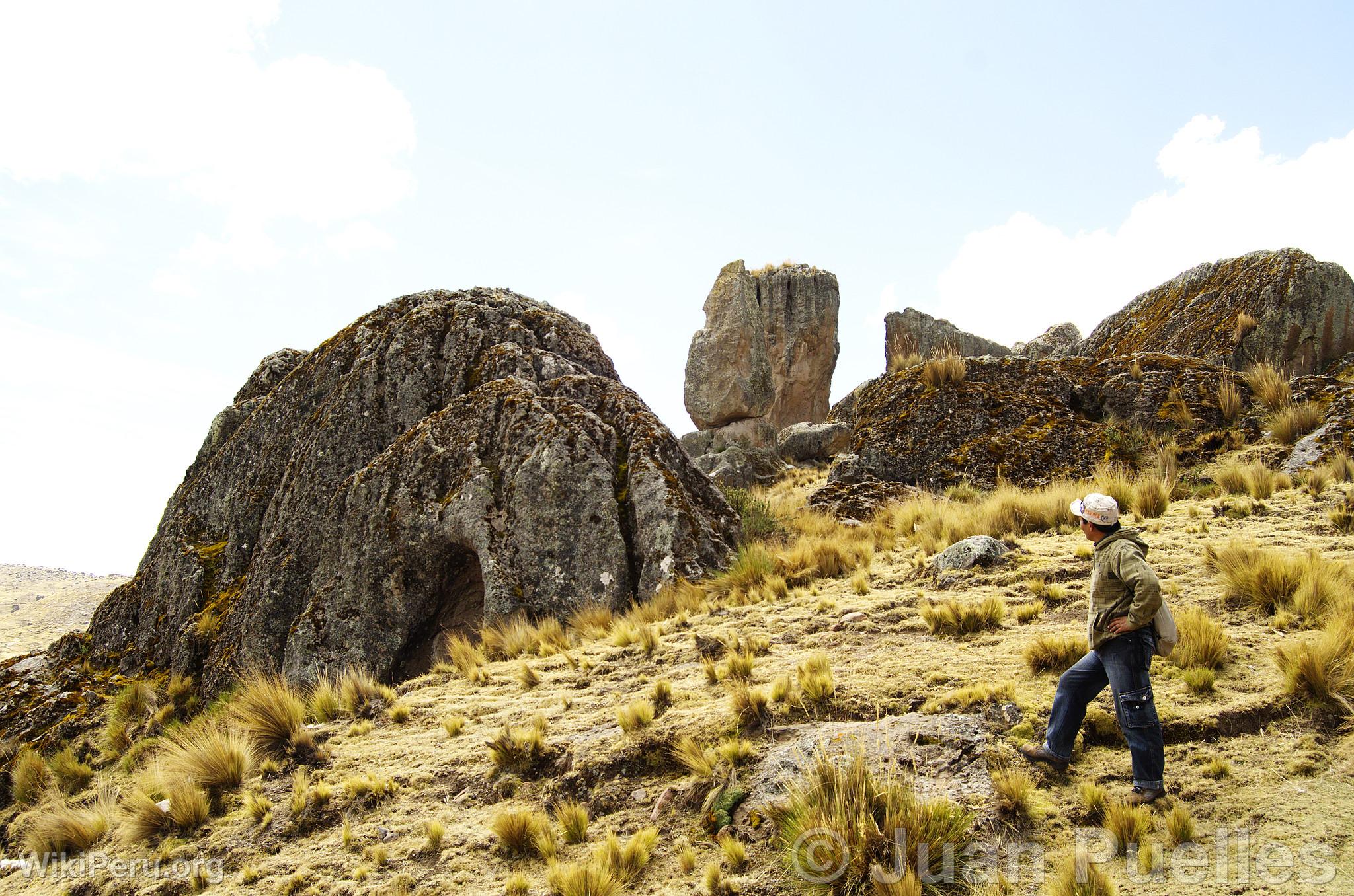 Sachapite Rock Forest