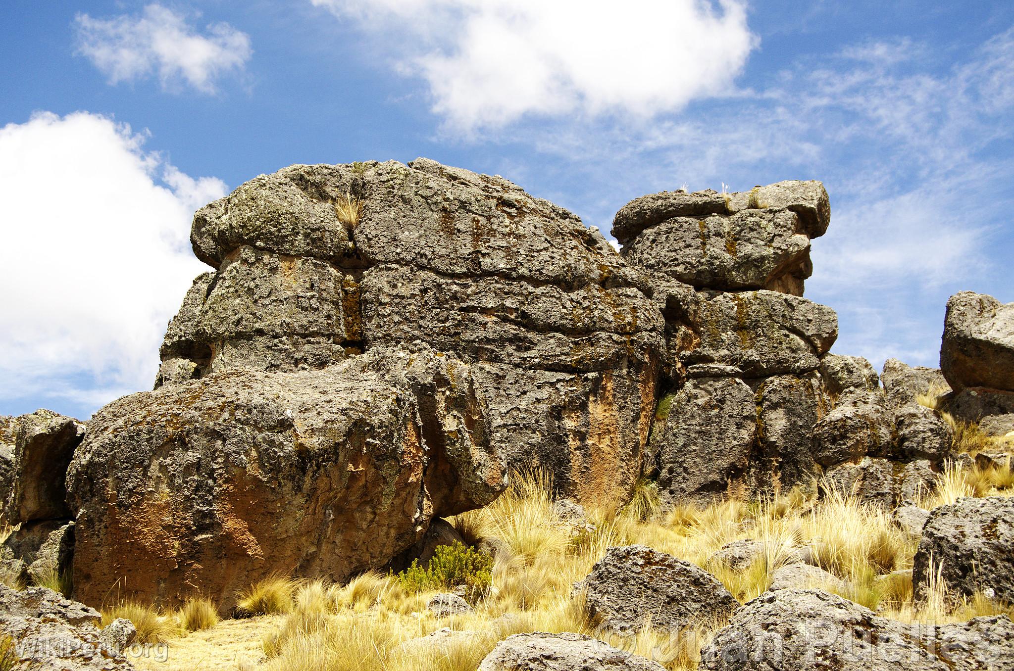 Sachapite Rock Forest