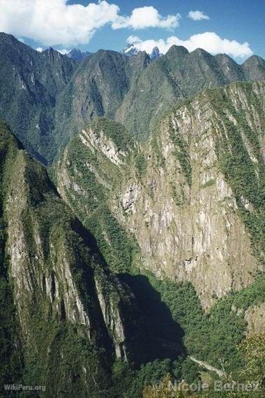 Cloud forest, Huayna Picchu, Machu Picchu