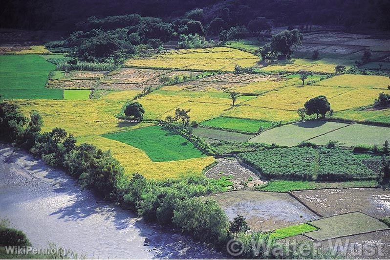 Huancabamba River