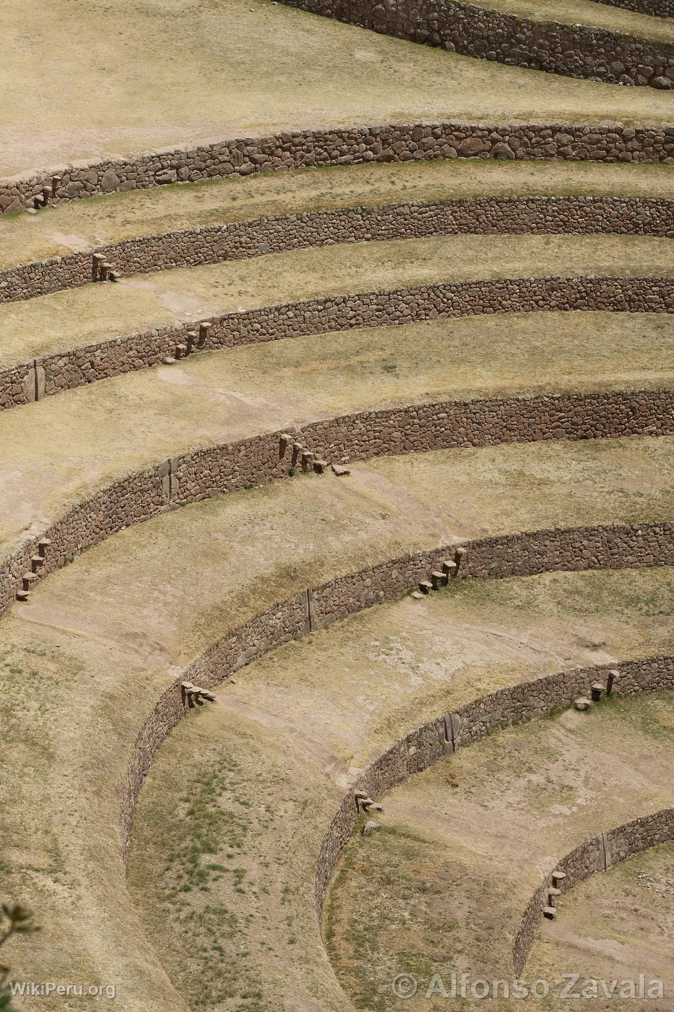 Moray Terraces