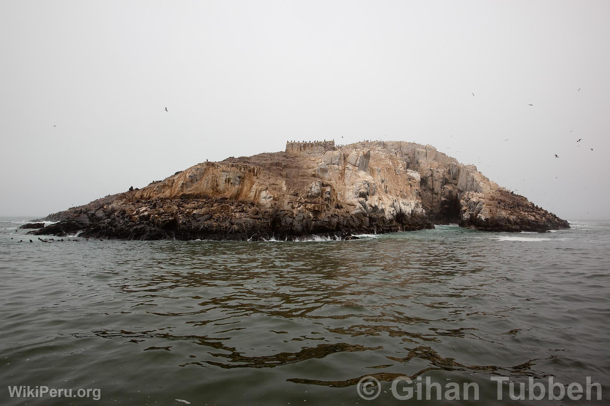 Palomino Islands, Callao