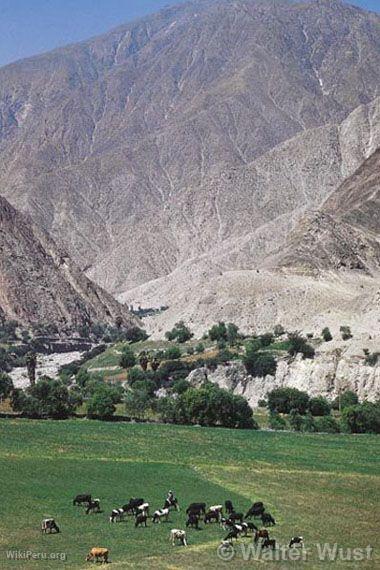 Pisco River Valley