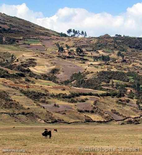 White Cordillera