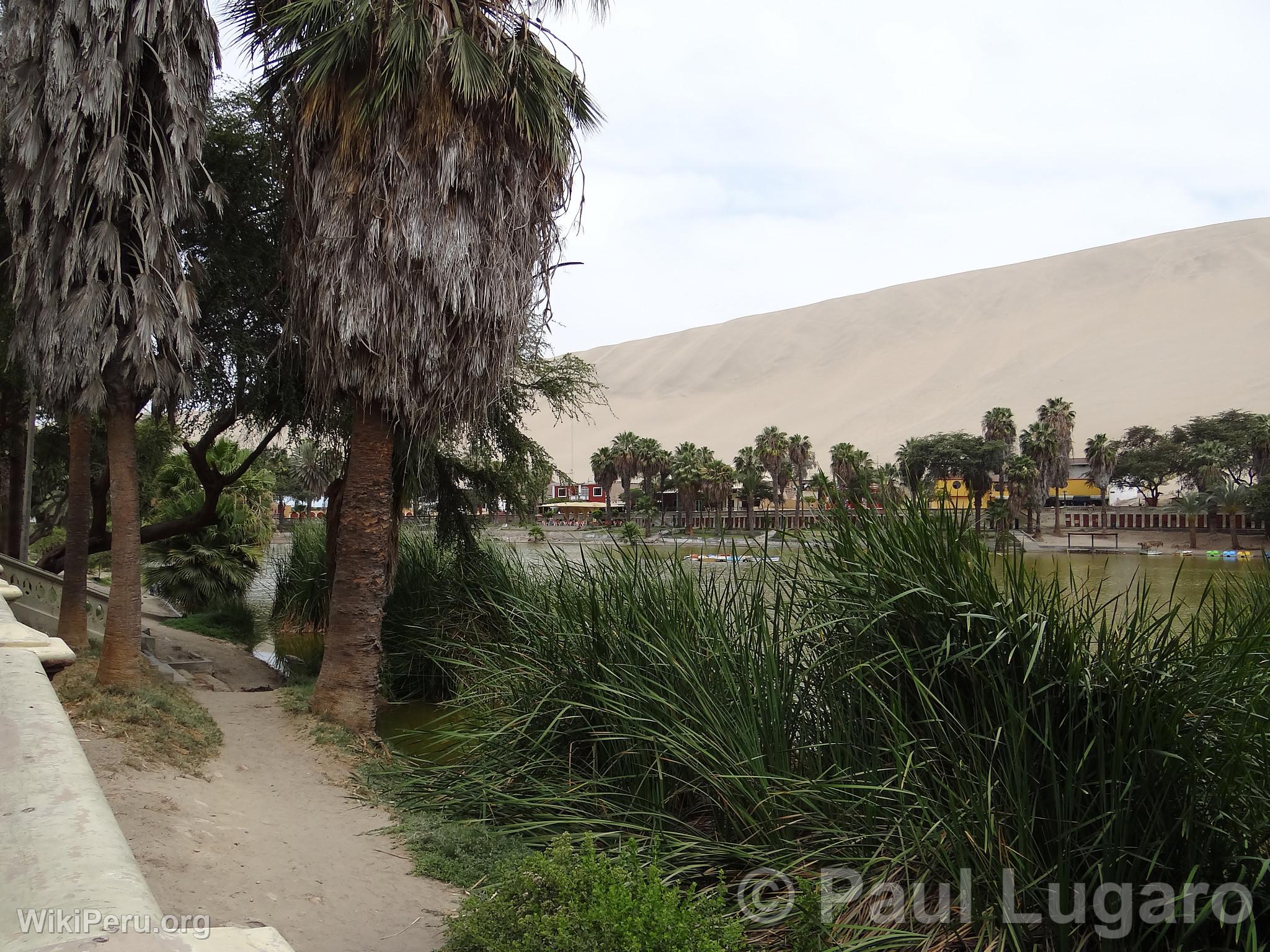 Huacachina