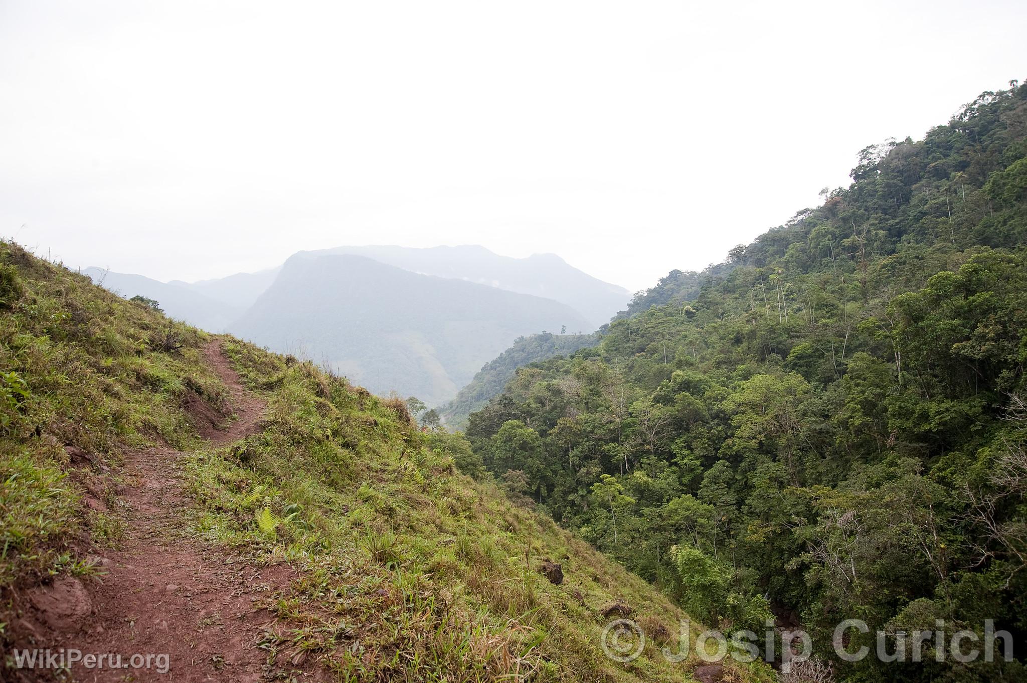 Pozuzo Landscape