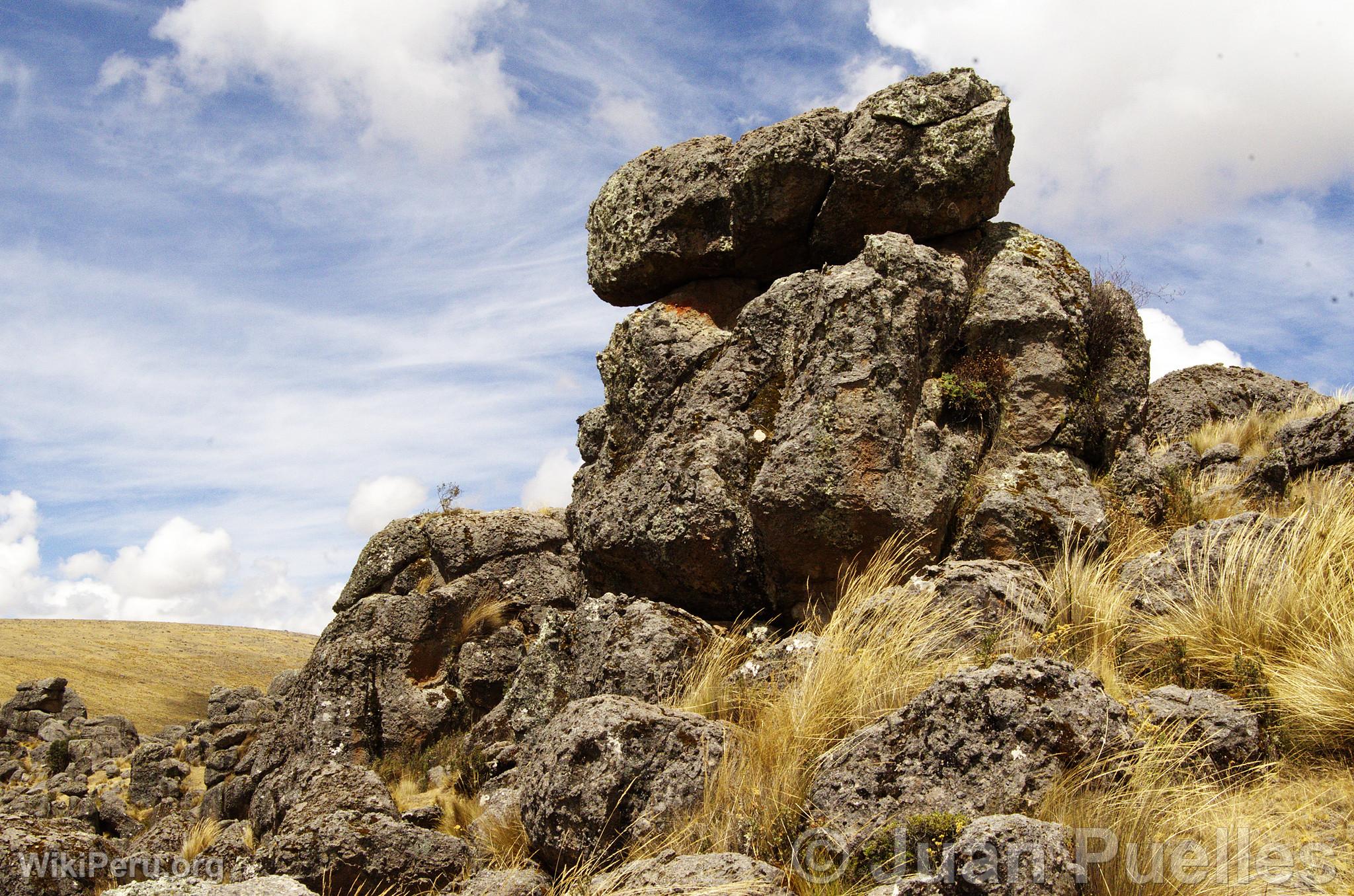 Sachapite Rock Forest