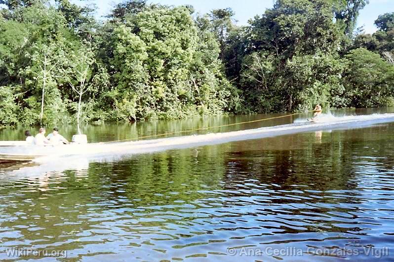 Water skiing in the Amazon