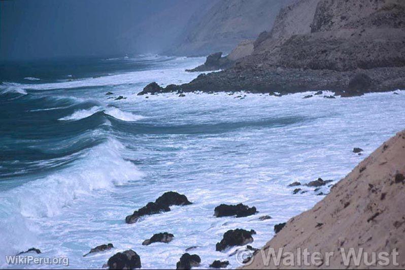 Moquegua Coastline