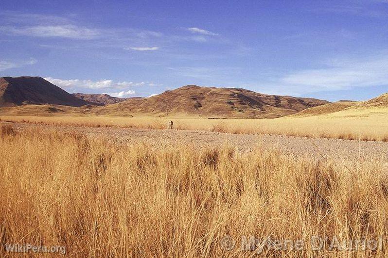 View of the Collao Plateau