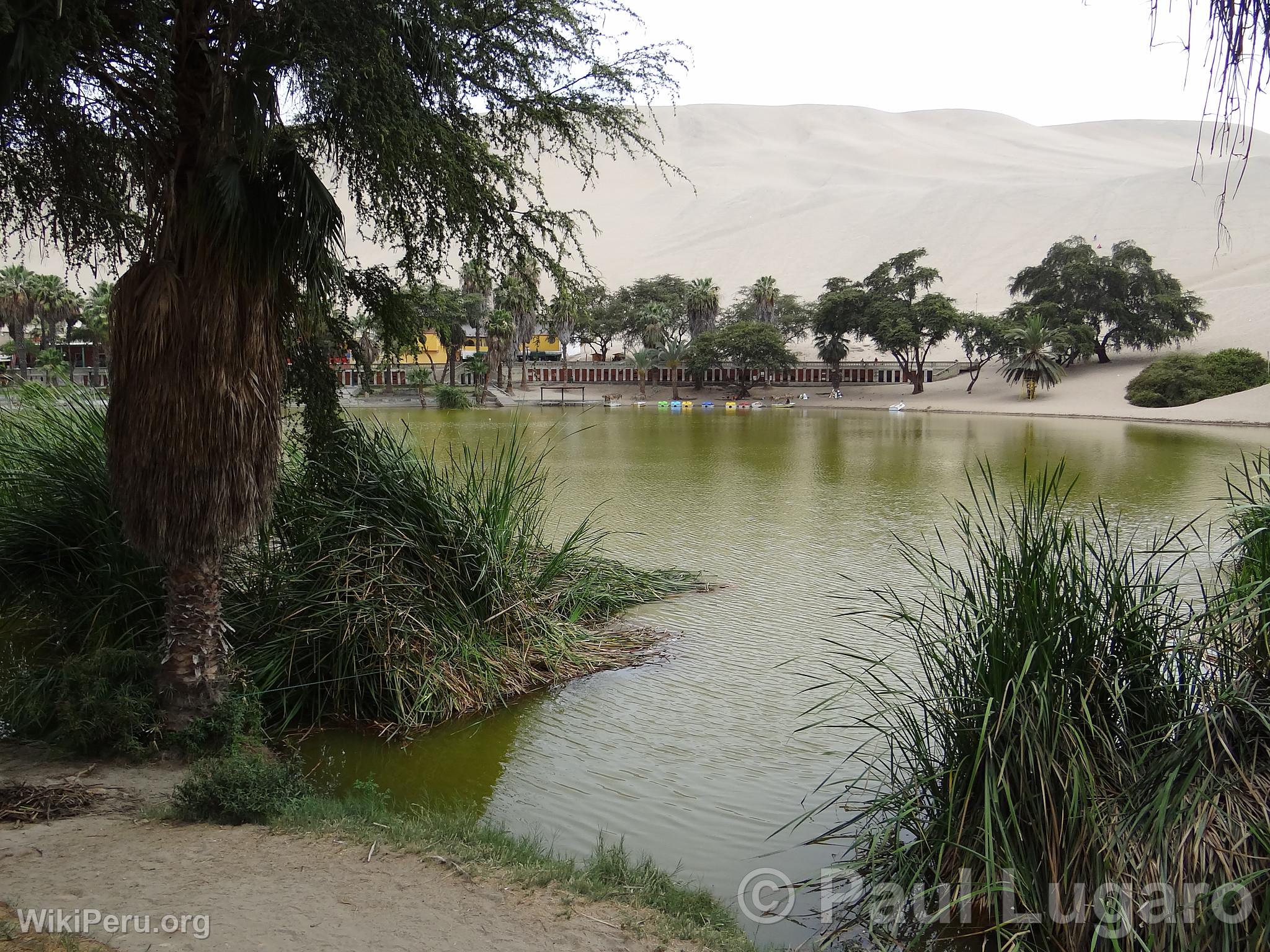 Huacachina